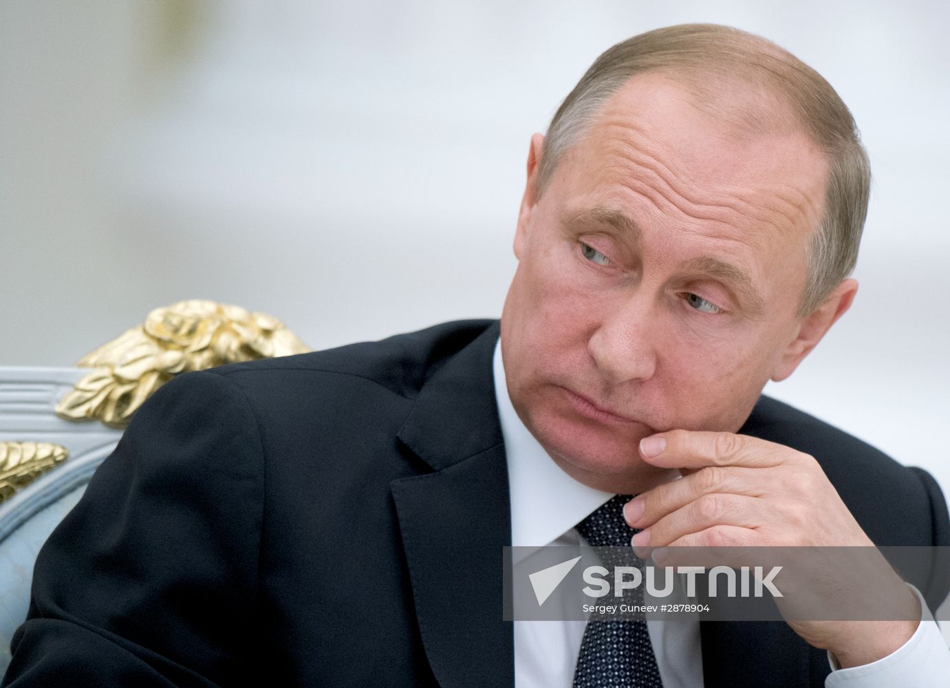 President Vladimir Putin meets with National Historical Assembly delegates