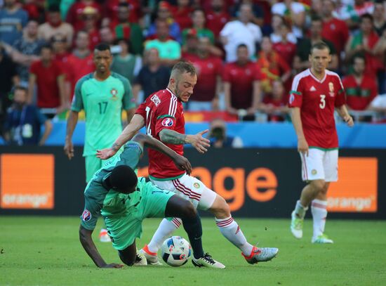 UEFA Euro 2016. Hungary vs. Portugal