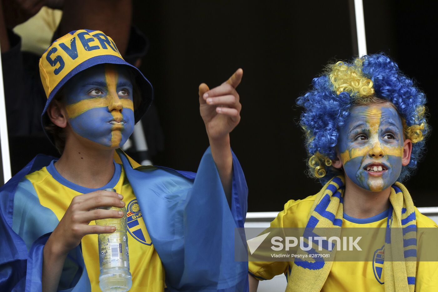 UEFA Euro 2016. Sweden vs. Belgium