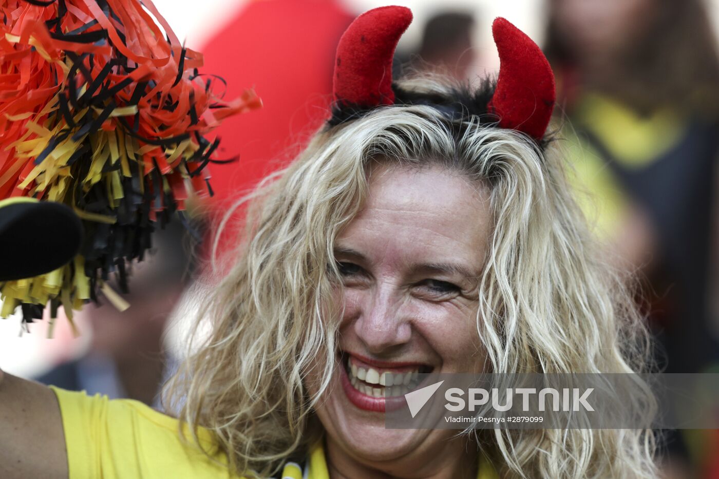 UEFA Euro 2016. Sweden vs. Belgium