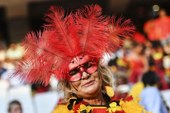 UEFA Euro 2016. Sweden vs. Belgium