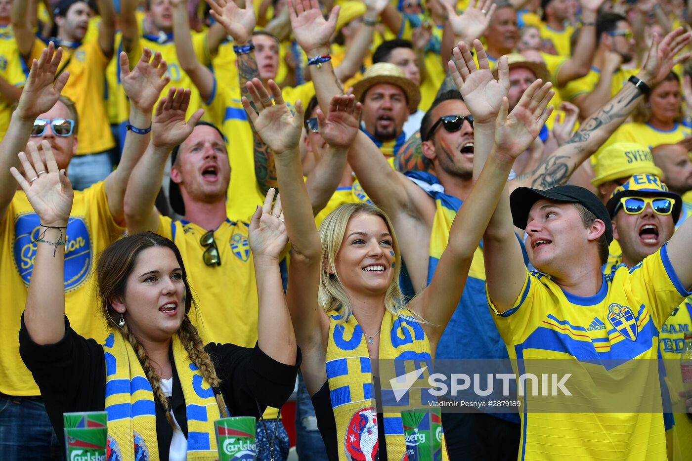 UEFA Euro 2016. Sweden vs. Belgium