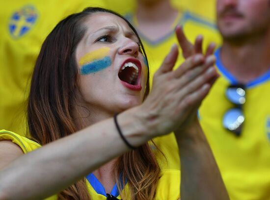 UEFA Euro 2016. Sweden vs. Belgium