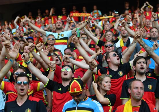 UEFA Euro 2016. Sweden vs. Belgium
