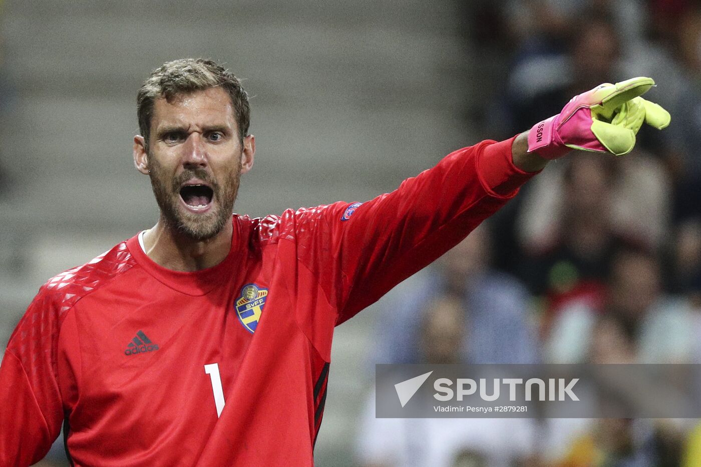 UEFA Euro 2016. Sweden vs. Belgium