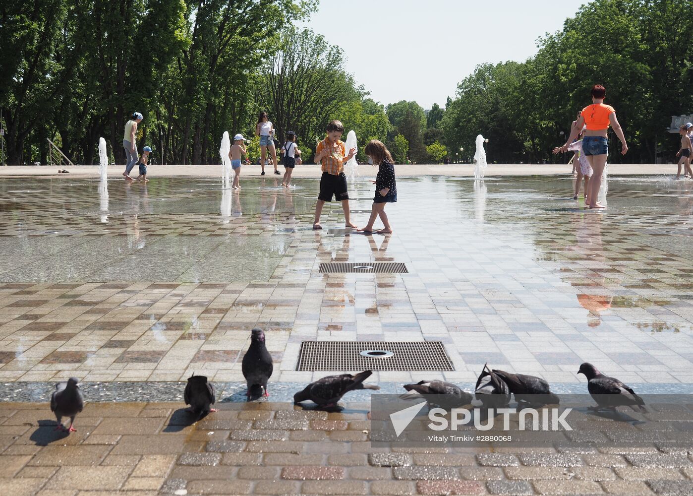 Summer in Krasnodar Territory