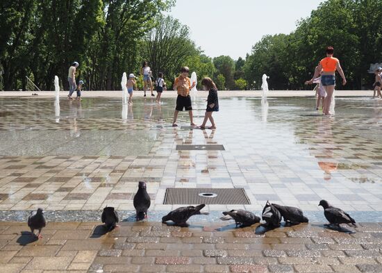 Summer in Krasnodar Territory