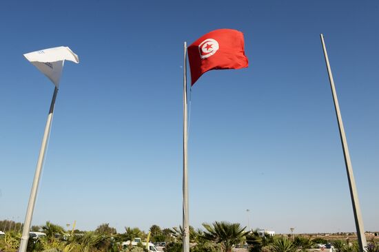Tunisian flag