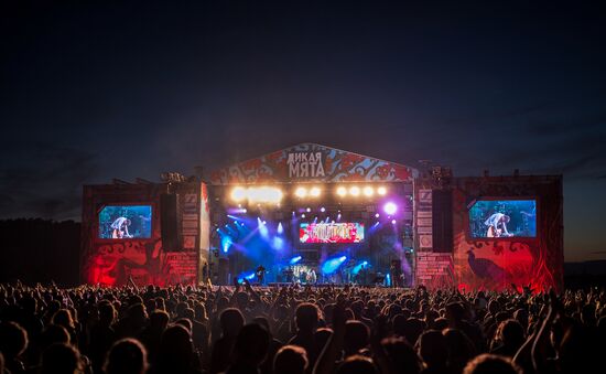 Wild Mint Festival. Day One