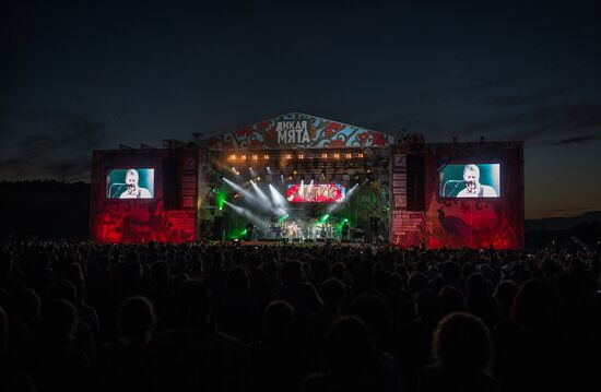 Wild Mint Festival. Day One