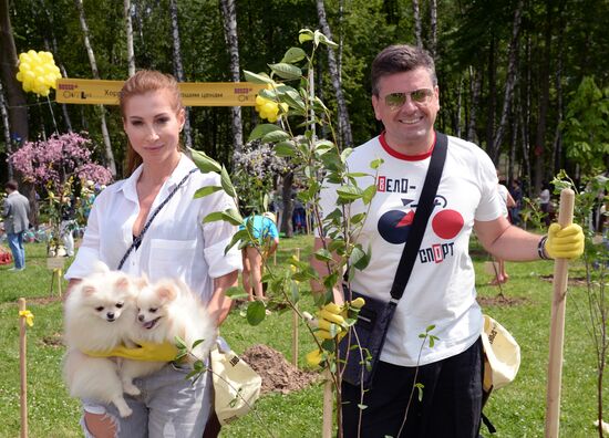 Picnic and planting Bosco Outlet Vnukovo cherry forest