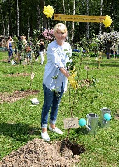 Picnic and planting Bosco Outlet Vnukovo cherry forest