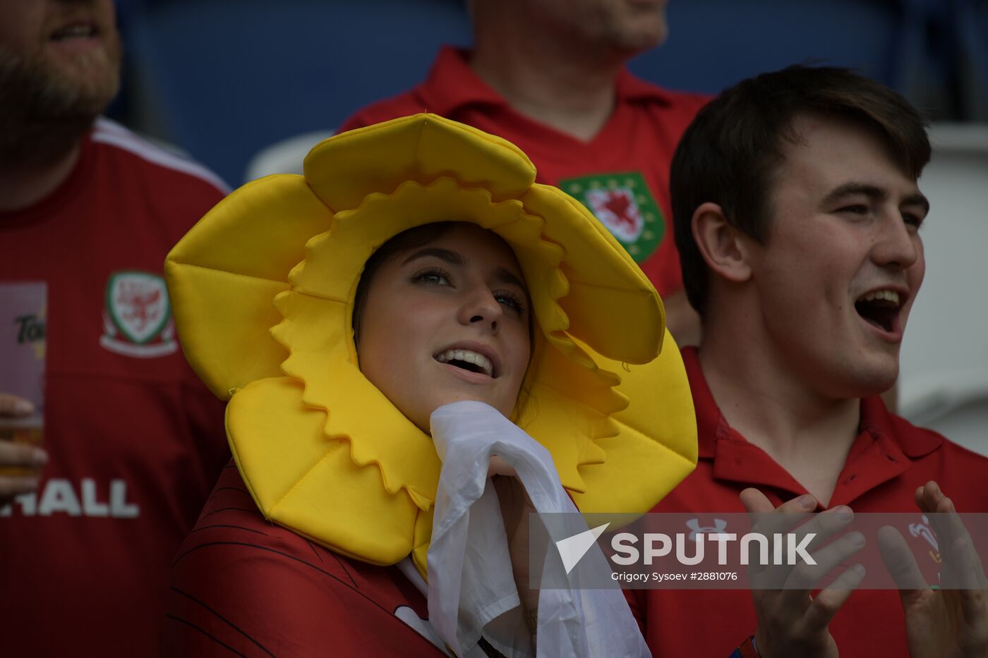 Football. UEFA Euro 2016. Wales vs. Northern Ireland