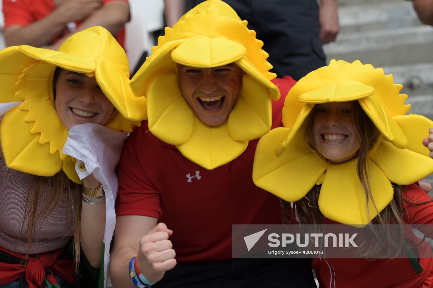 Football. UEFA Euro 2016. Wales vs. Northern Ireland