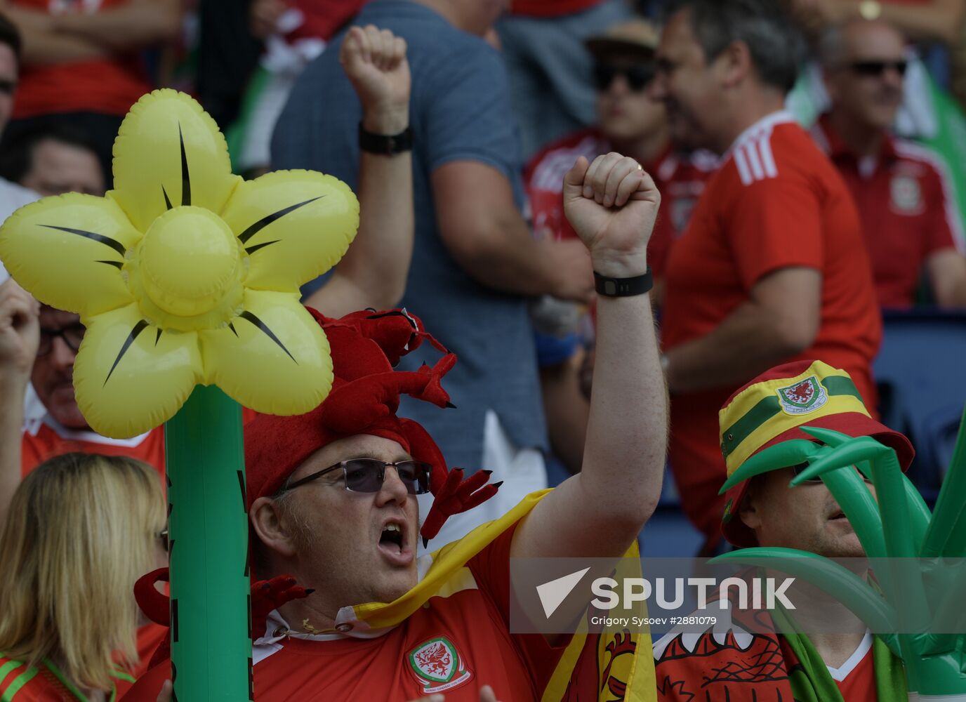 Football. UEFA Euro 2016. Wales vs. Northern Ireland