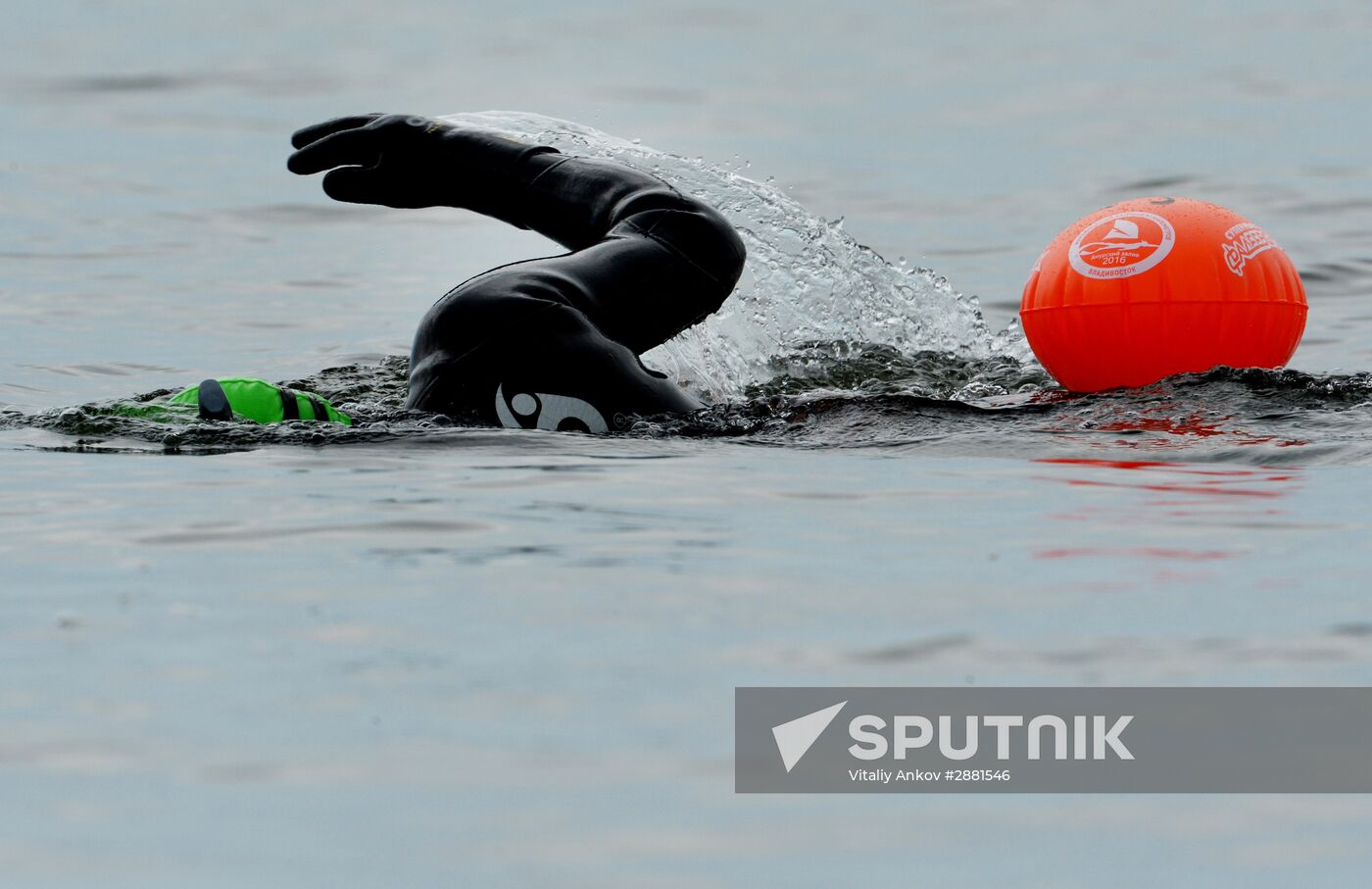 Marathon swim across Amur Bay in Vladivostok