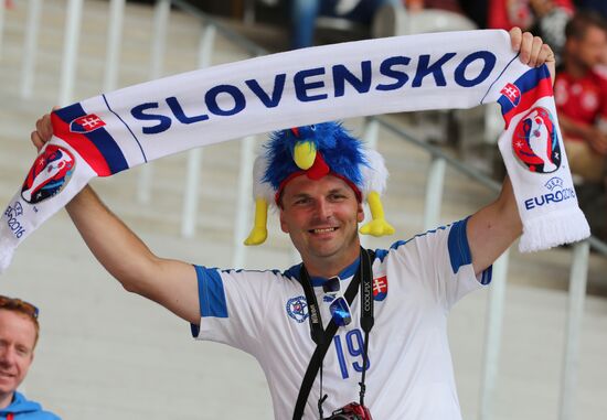 Football. 2016 UEFA European Championship. Germany vs. Slovakia