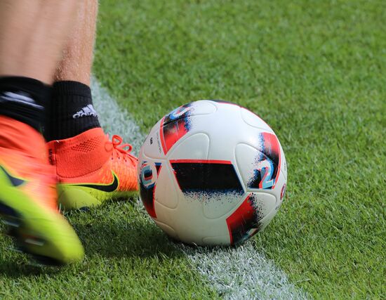 UEFA Euro 2016. Germany vs. Slovakia