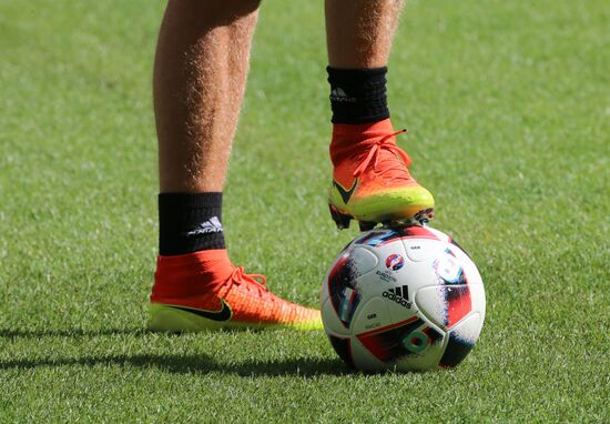 Football. UEFA Euro 2016. Germany vs. Slovakia