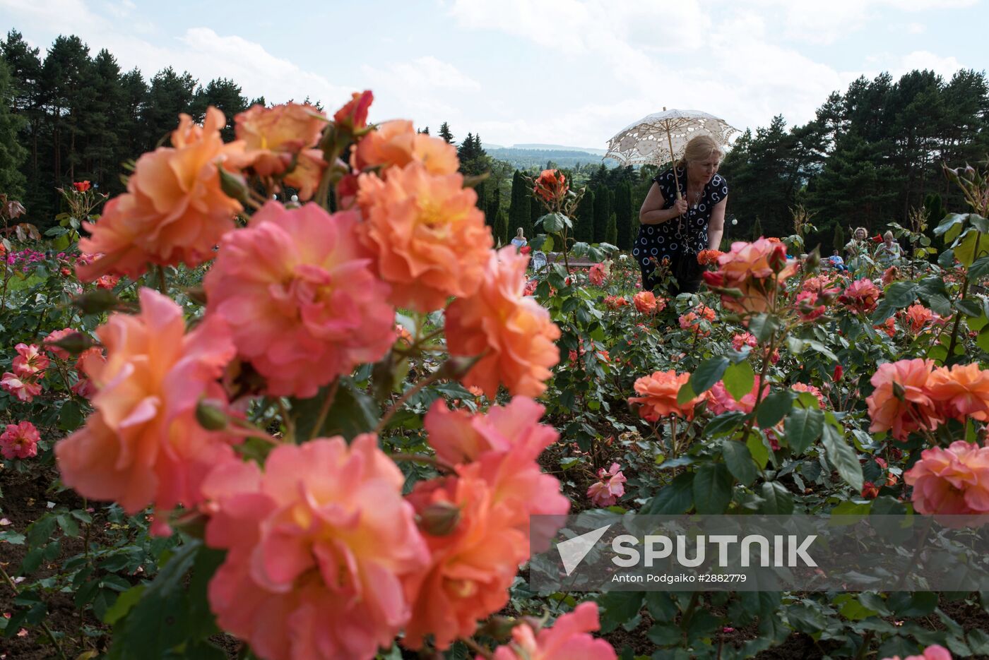 Kislovodsk National Park