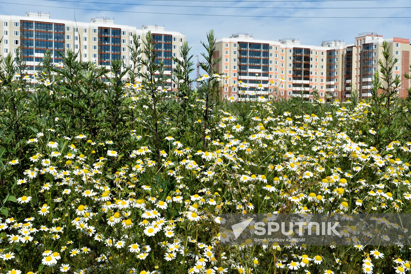 Construction of Gosudarev Dom apartment complex