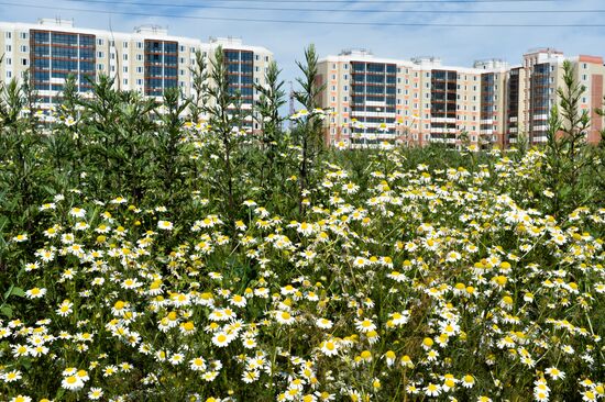 Construction of Gosudarev Dom apartment complex