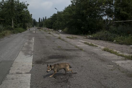 Village of Spartak in Donetsk Region