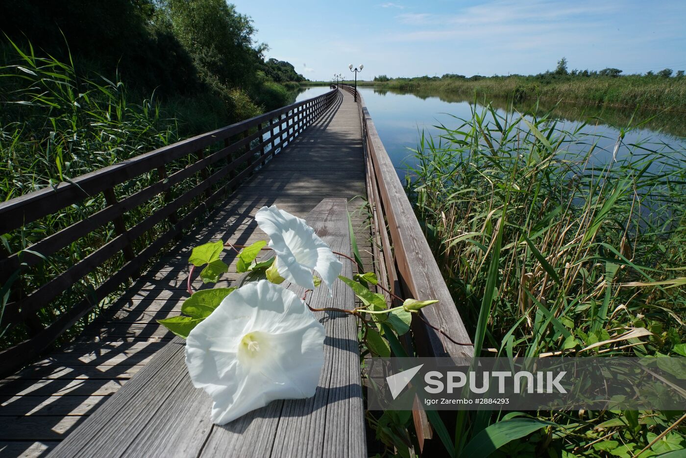 Vacation on the Baltic Sea coast