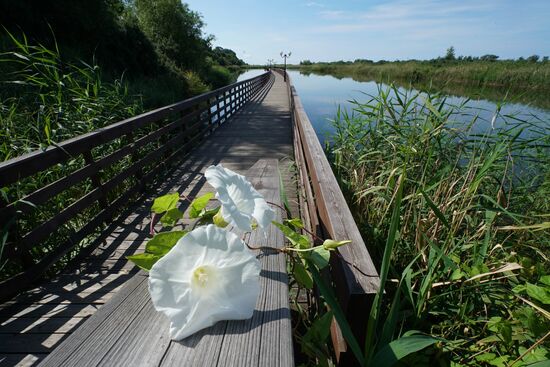 Vacation on the Baltic Sea coast