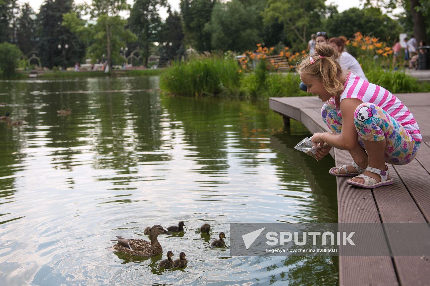 Summer in Moscow