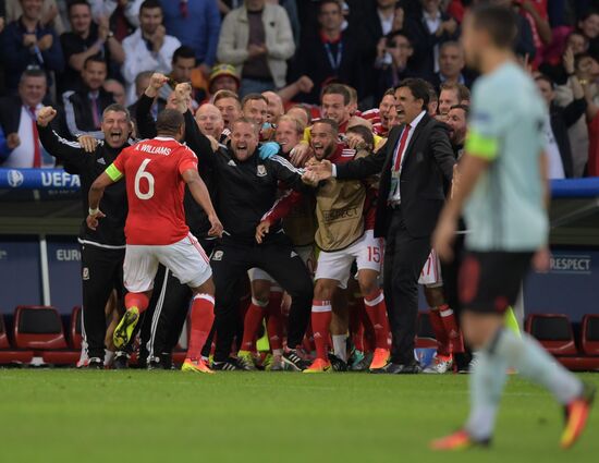 UEFA Euro 2016. Wales vs. Belgium