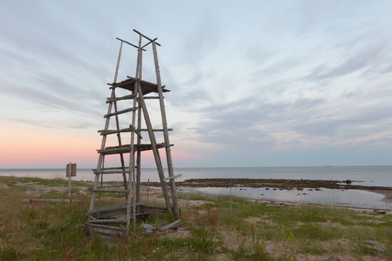 Expedition for marine ecosystem monitoring in the Onega Bay of the White Sea