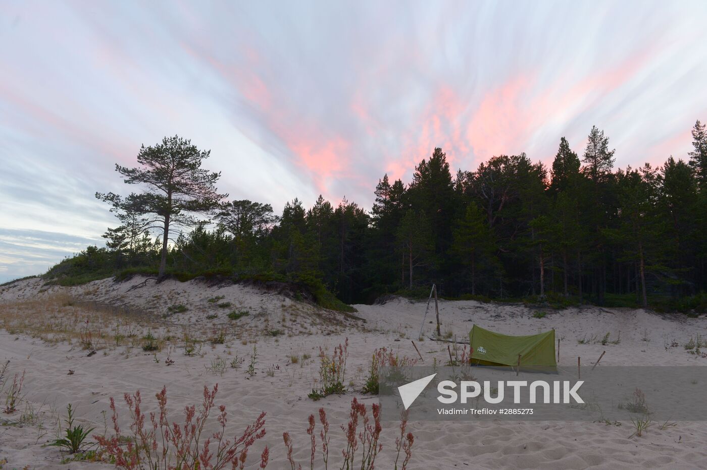 Expedition for marine ecosystem monitoring in the Onega Bay of the White Sea