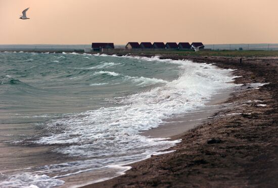 Bakalskaya Spit in Crimea