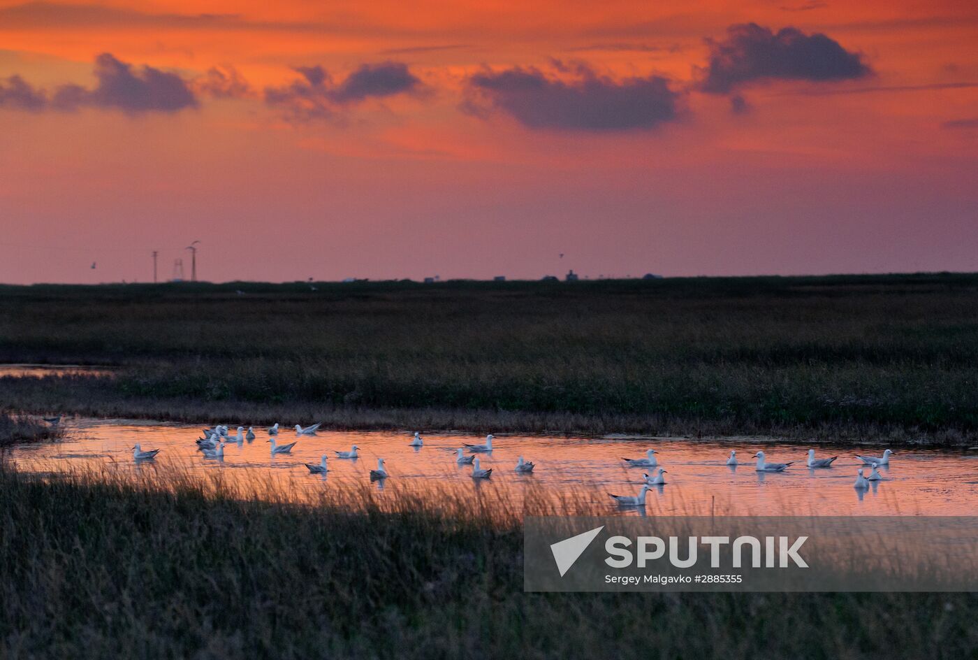 Bakalskaya Spit in Crimea