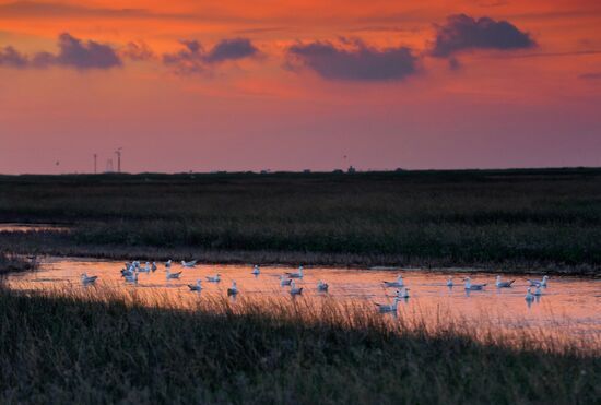 Bakalskaya Spit in Crimea