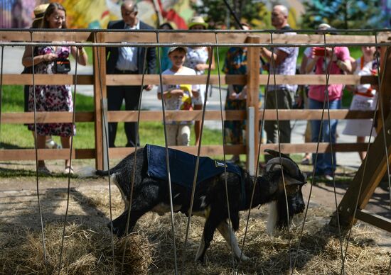 VDNKh welcomes Goat Timur, opens Glory Alley on its City Farm