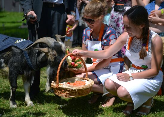 VDNKh welcomes Goat Timur, opens Glory Alley on its City Farm