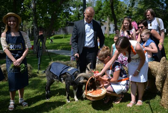 VDNKh welcomes Goat Timur, opens Glory Alley on its City Farm