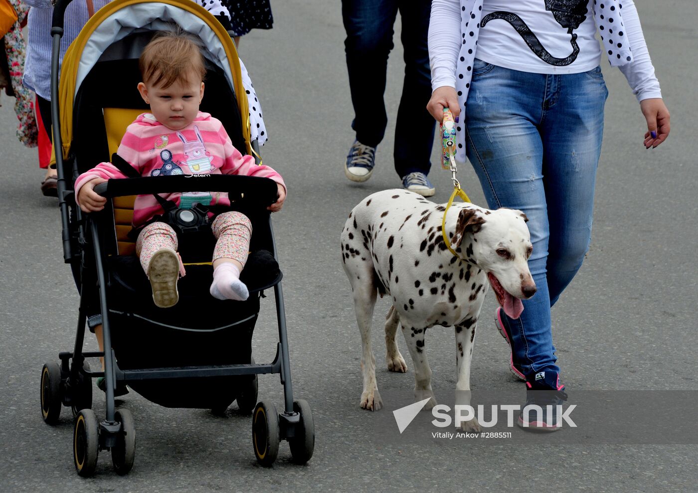 Vladivostok celebrates City Day