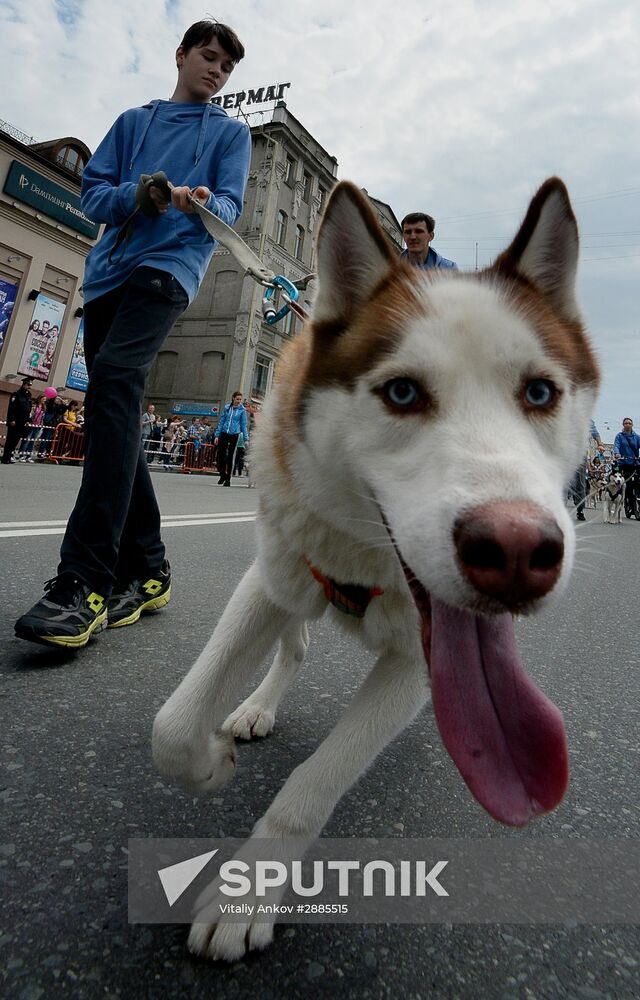Vladivostok celebrates City Day
