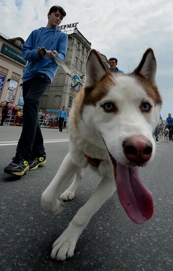 Vladivostok celebrates City Day