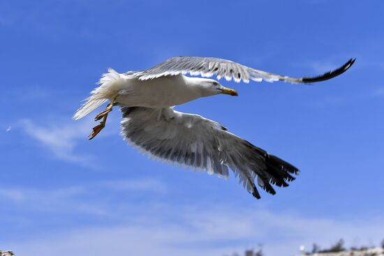 Cities of the world. Marseille