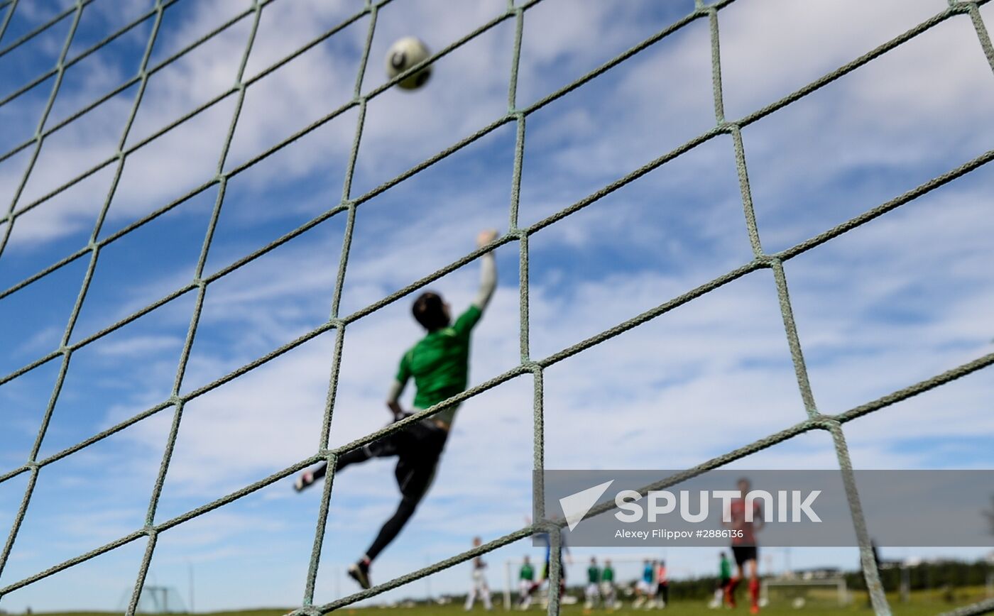 Football fever in Iceland