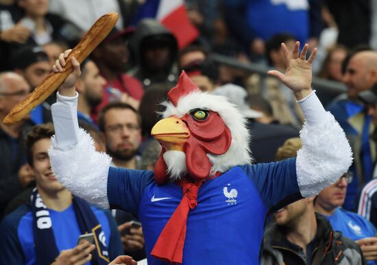 UEFA Euro 2016. France vs. Iceland