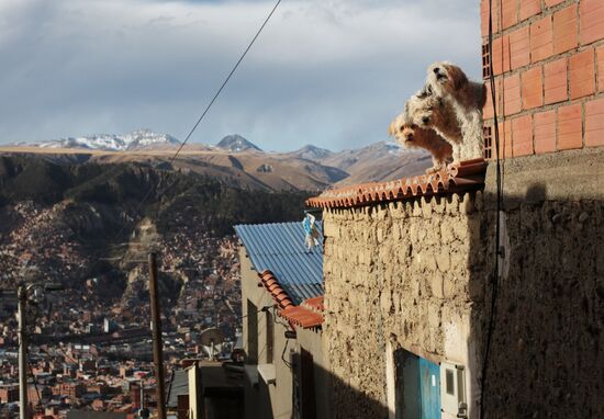 Countries of the world. Bolivia