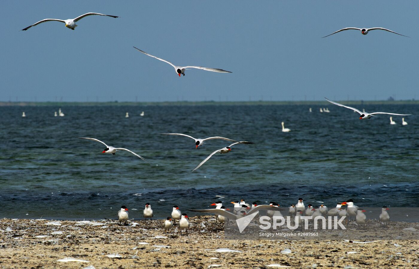 Swan Islands wildfowl nature reserve