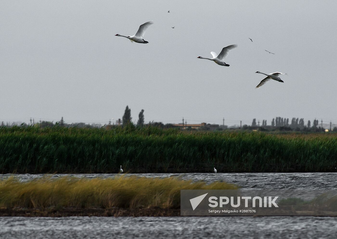 Swan Islands wildfowl nature reserve