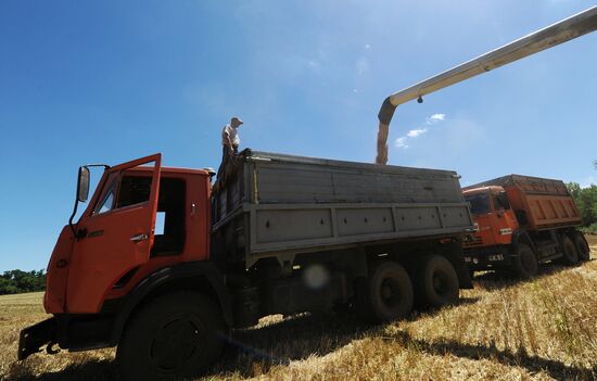 Harvesting wheat in Rostov Region