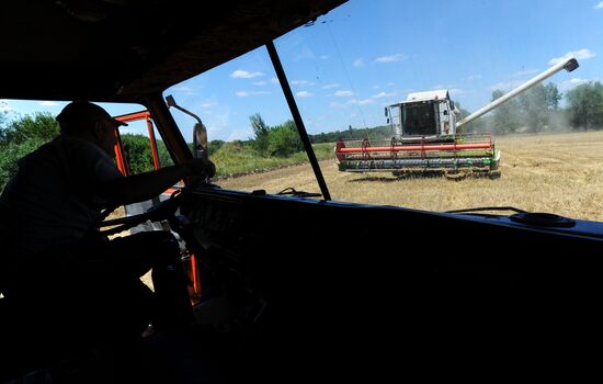 Harvesting wheat in Rostov Region